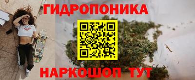 винт Тара