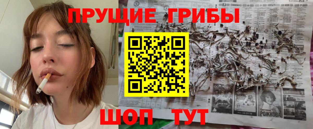 наркошоп  Вход с VPN  Псилоцибиновые грибы мицелий  Старая Купавна  Галлюциногенные грибы мицелий 